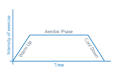 Diagram using a line to illustrate the gradual warm up then the aerobic phase through to the cool down