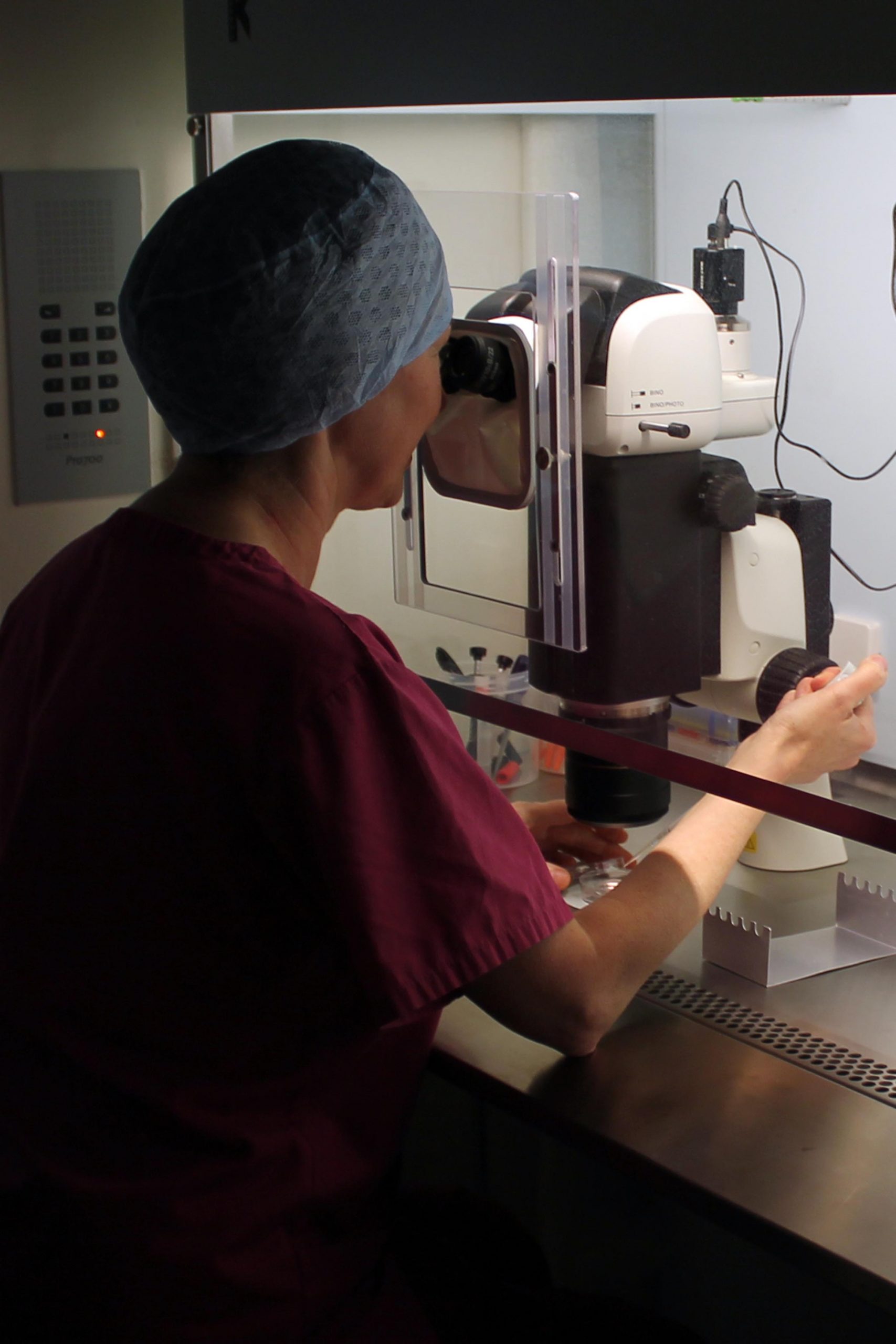 Ivf Lab Cook Gallery - South Tees Hospitals NHS Foundation Trust