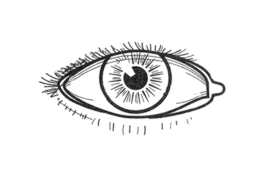 Line drawing of an eye