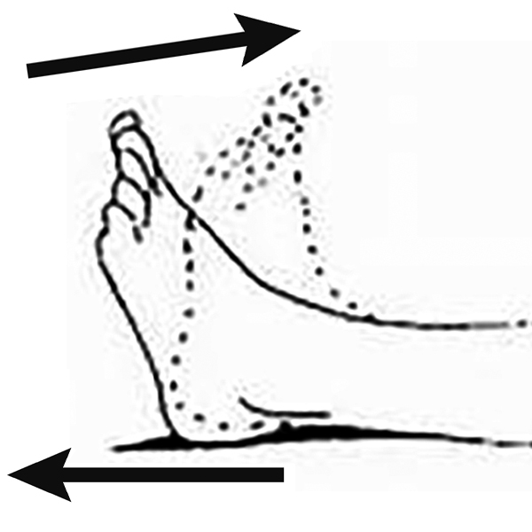 Diagram of a foot rotating from the ankle round in one direction and then back the other way