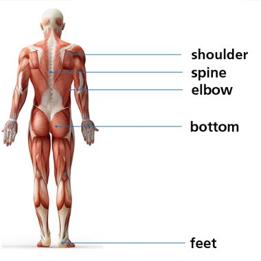 Diagram highlighting the pressure points when seated. These are on the shoulder, spine, elbow, bottom and feet