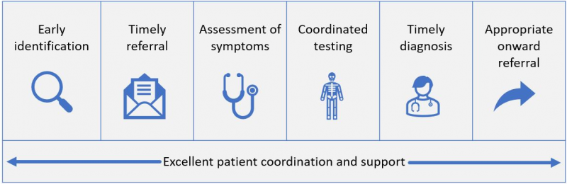 The seven core principles of a rapid diagnostic centre