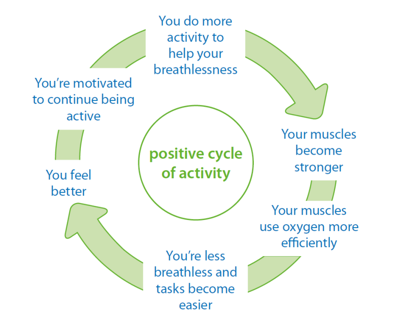 Positive cycle of activity - you do more activity to help your breathlessness, muscles become stronger and use oxygen more efficiently, tasks become easier, you feel better, you're motivated to continue being active...