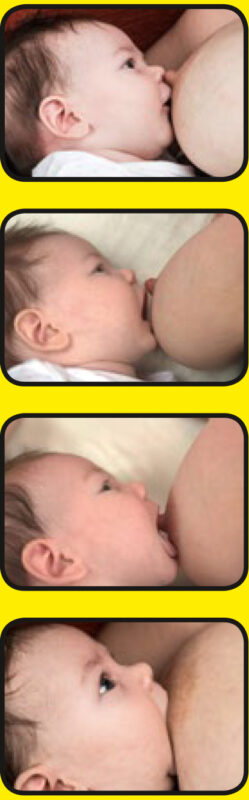 Image showing baby attaching to the breast for a feed