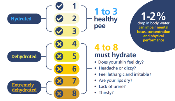 Hydration chart. 1 to 3 (clear pale yellow) healthy pee. 4 to 8 must hydrate. Does your skin feel dry? Headache or dizzy? Feel lethargic and irritable? Are your lips dry? Lack of urine? Thirsty? 