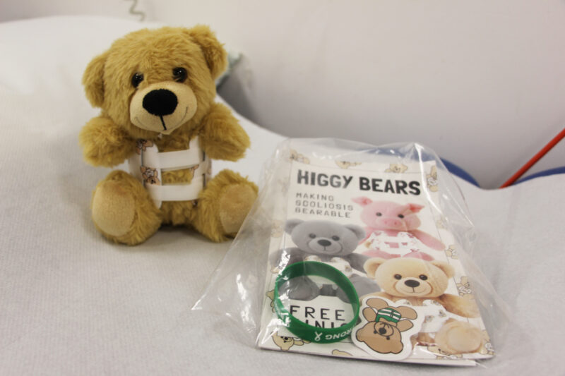 Higgy Bear and support pack