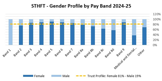 STHFT gender profile by pay band table