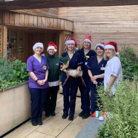 The palliative care team at the Friarage Hospital