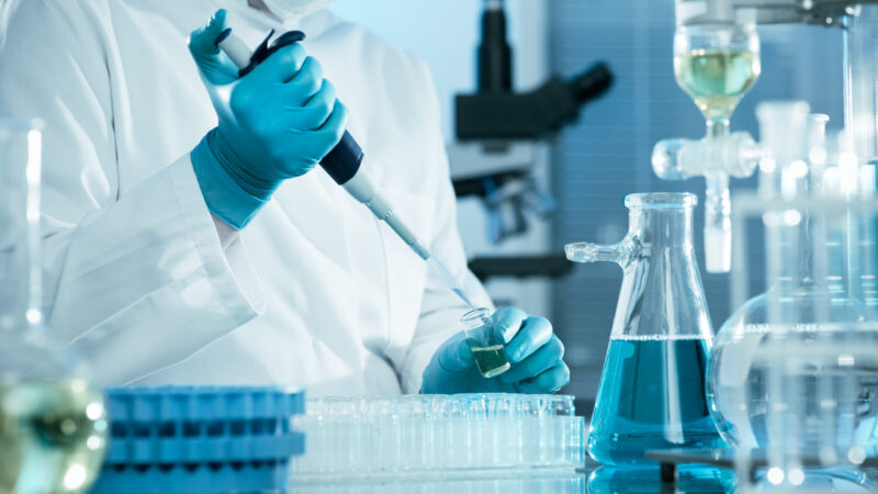 scientist working at the laboratory