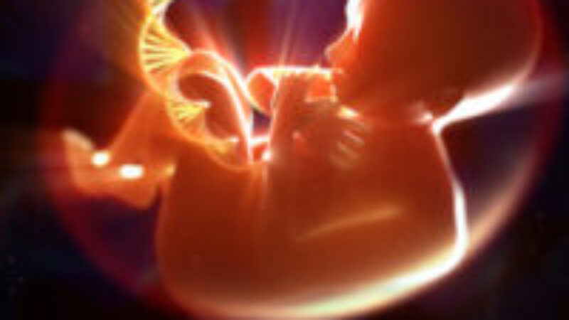 sn-fetaldna