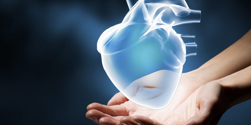 Computerised heart illustration