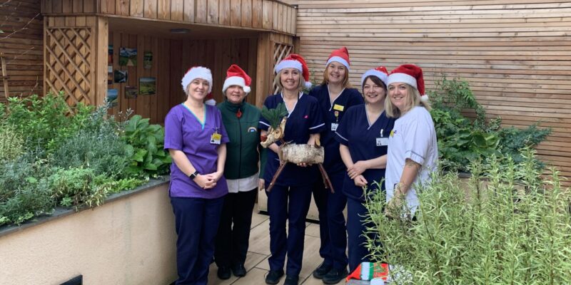 The palliative care team at the Friarage Hospital